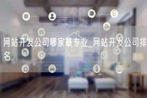 网站开发公司哪家最专业_网站开发公司排名